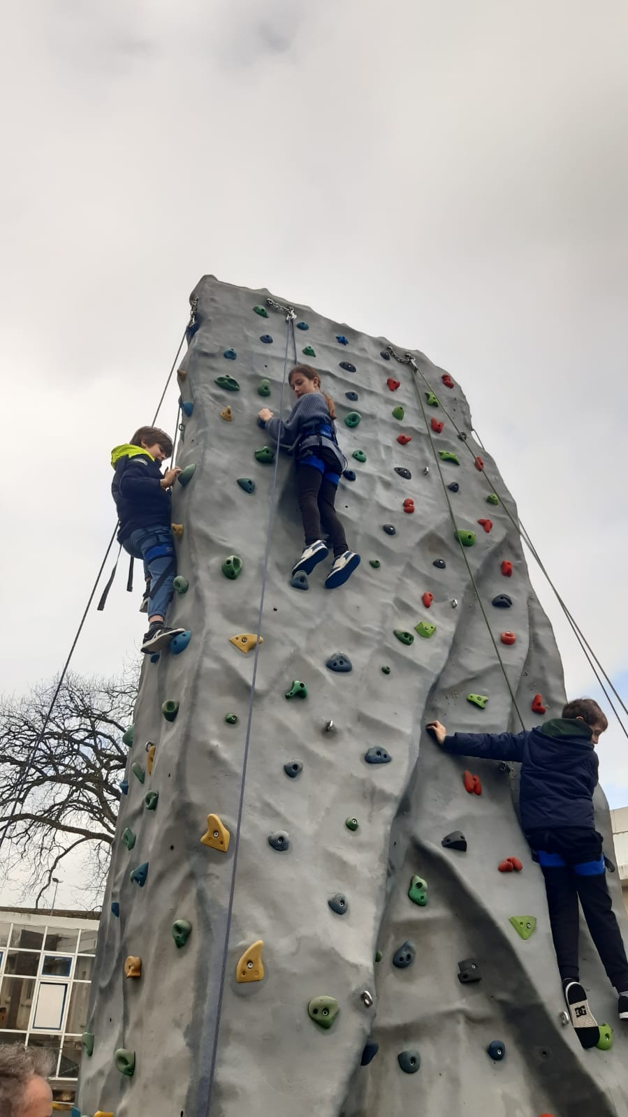 Cycle escalade Accueil de loisirs municipal Rey / Valin la rochelle